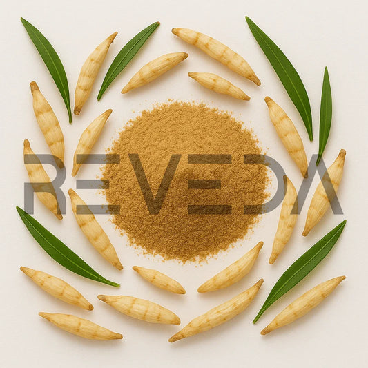 Ophiopogon Powder