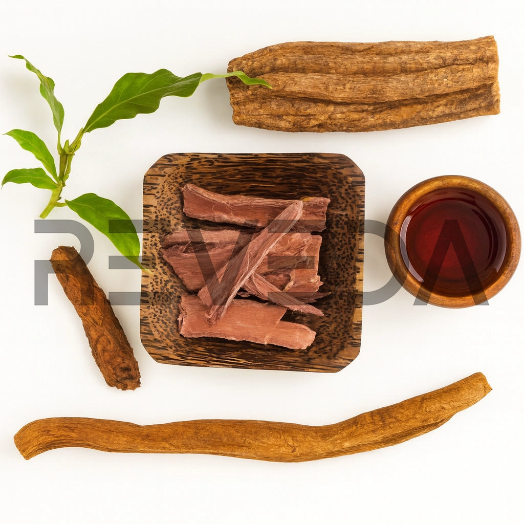 Premium Pink Root Bark | MHRB Ground