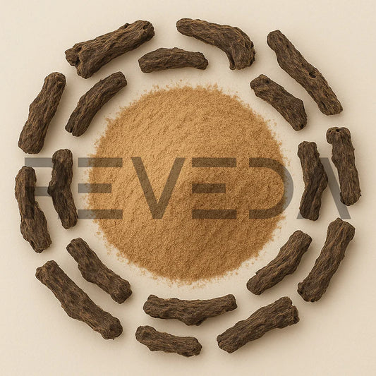 Osha Root Powder