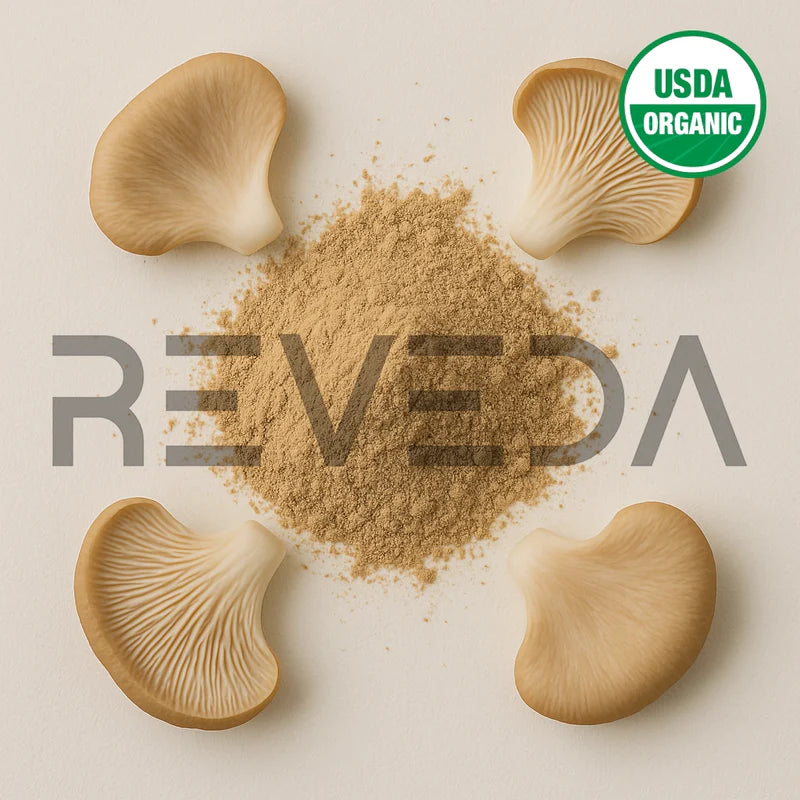 Oyster Mushroom Extract Powder