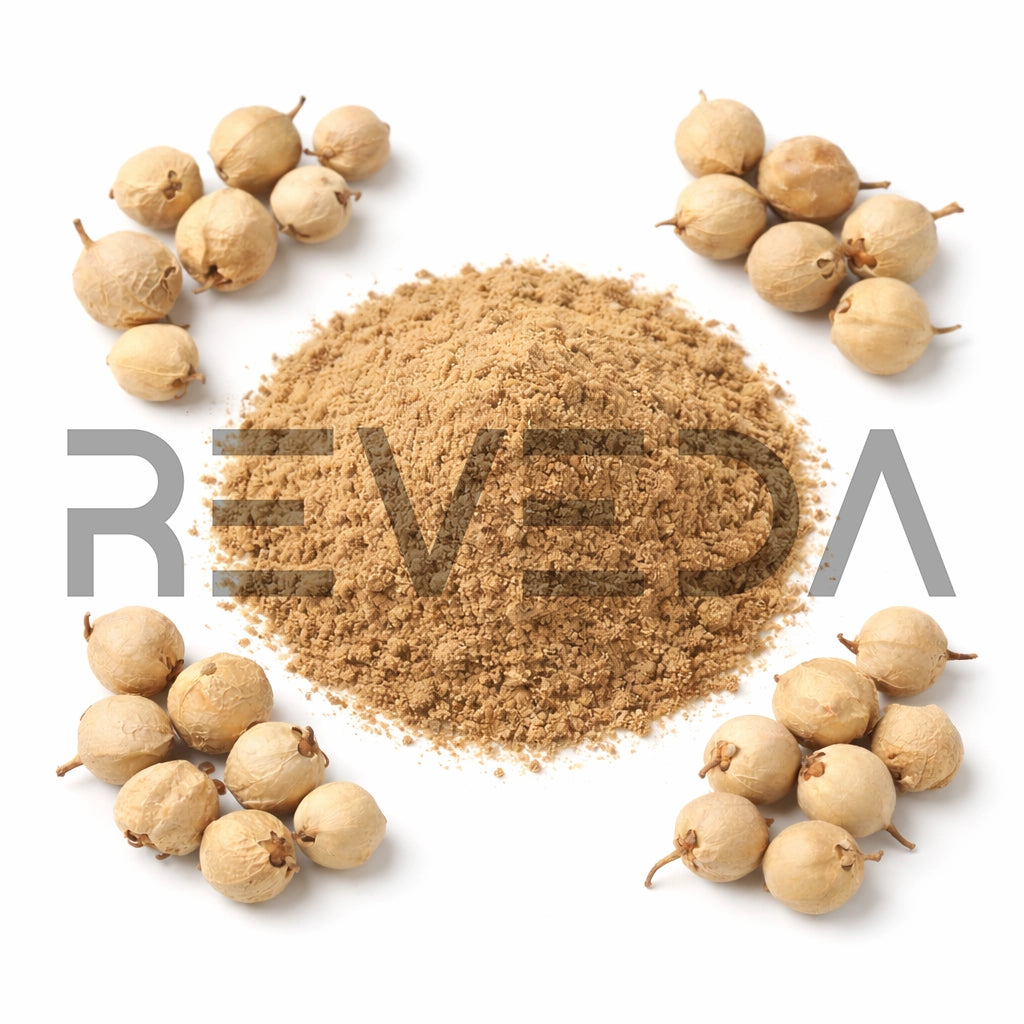 Paneer Dodi Phool Extract Powder