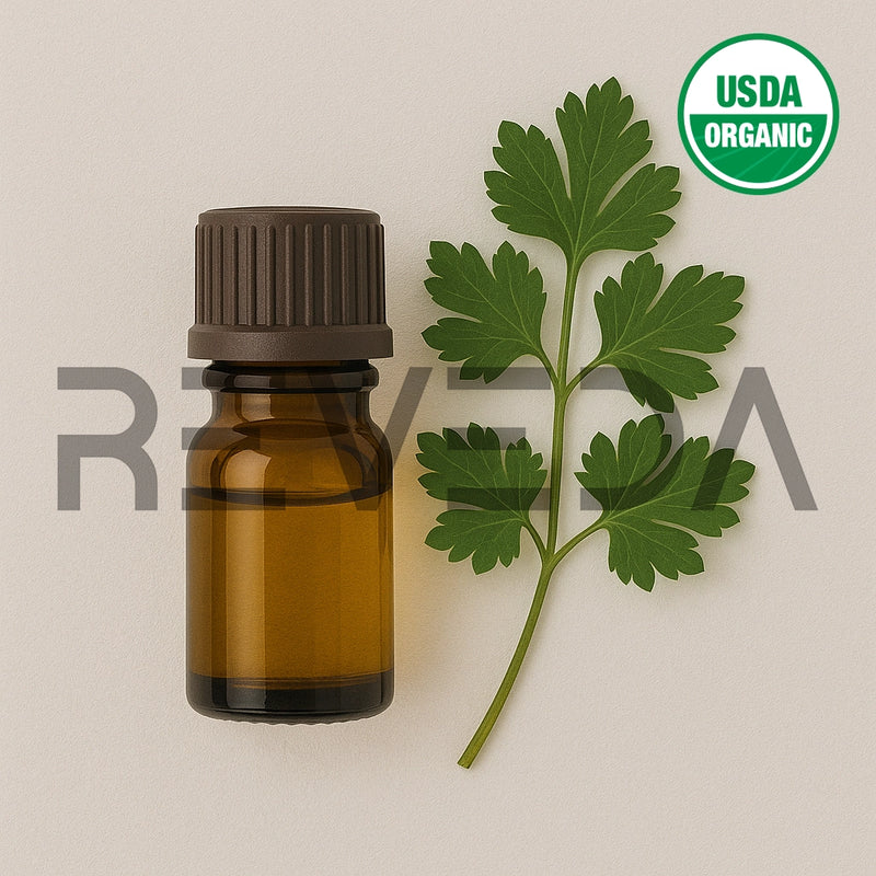 Parsley Essential Oil