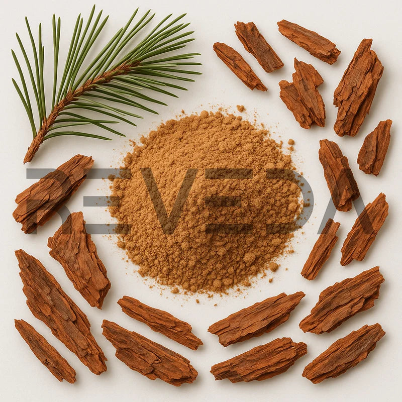 Pine Bark Extract Powder