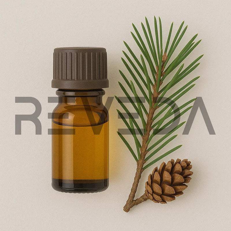 Pine Essential Oil