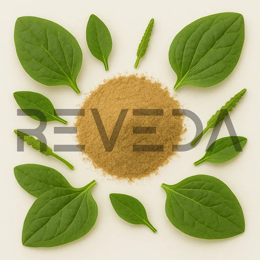 Plantago Major Powder