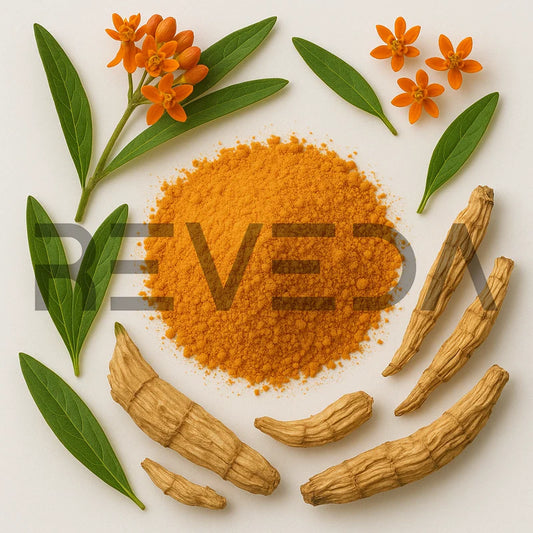 Pleurisy Root Powder
