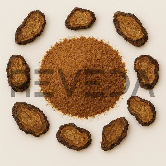 Polygonum Multiflorum Extract Powder