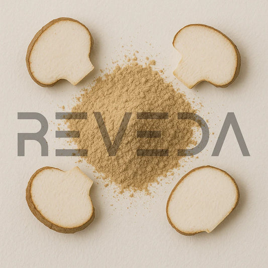 Poria Mushroom Extract Powder