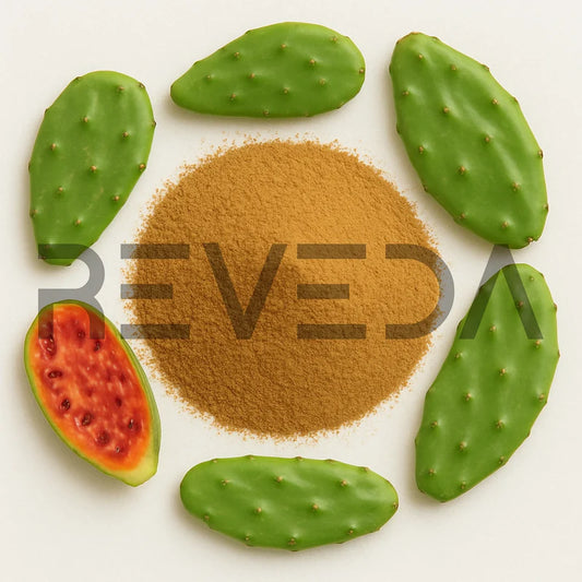 Prickly Pear Extract Powder