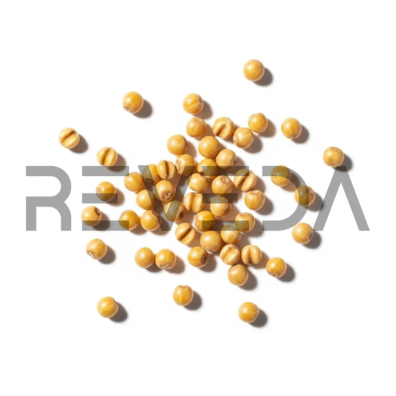 Proso Millet Seeds