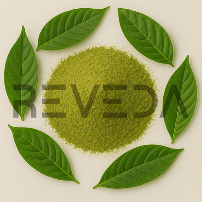 Psychotria Viridis Powder | Chacruna | Amiruca Panga