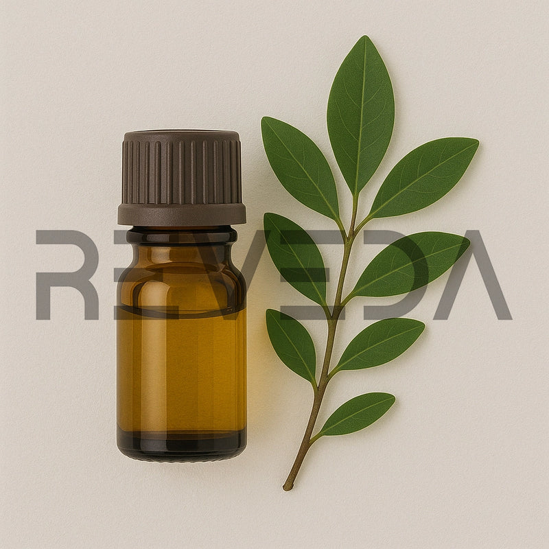 Ravensara Essential Oil