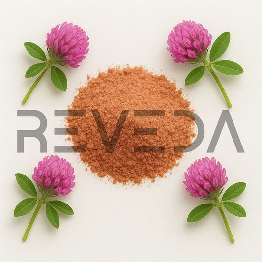 Red Clover Extract Powder 8% Isoflavones