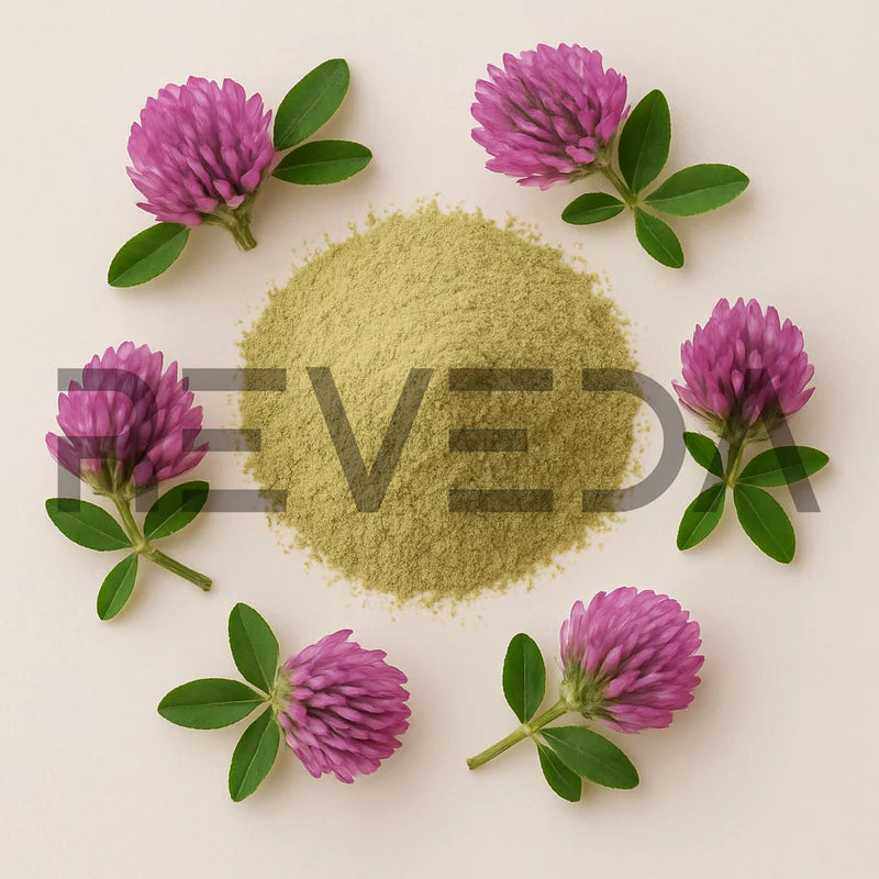 Red Clover Powder
