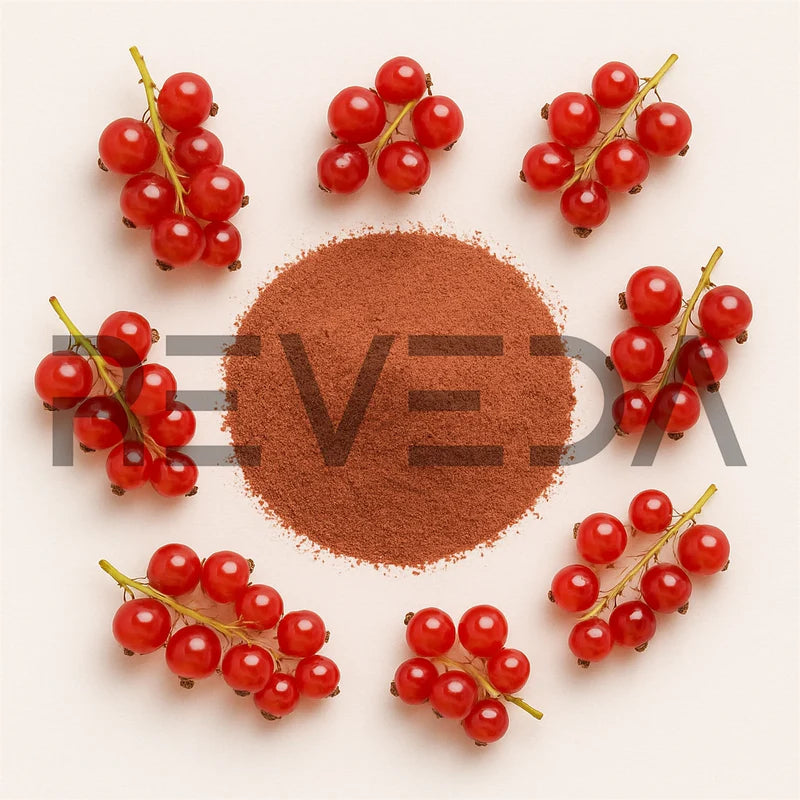 Redcurrant Extract Powder