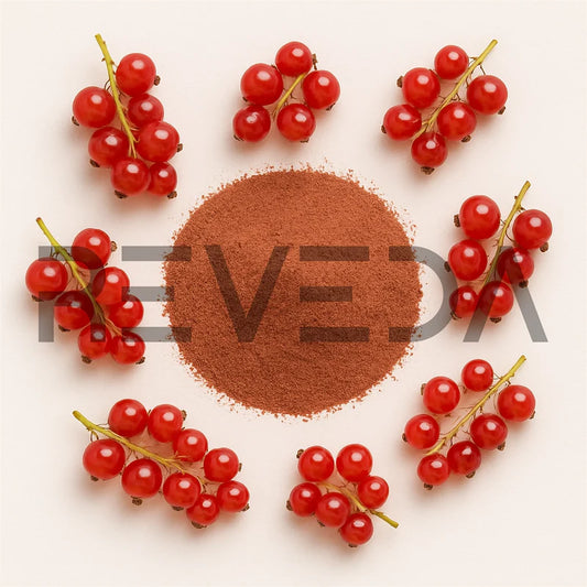 Redcurrant Extract Powder