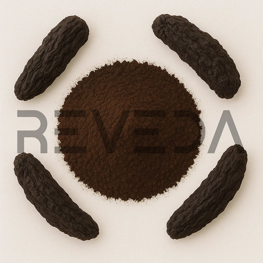 Rehmannia ExtractÂ Powder