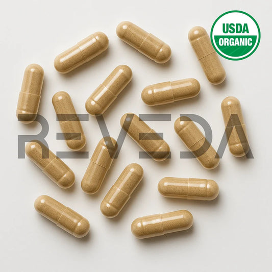 Reishi Mushroom Extract Capsules