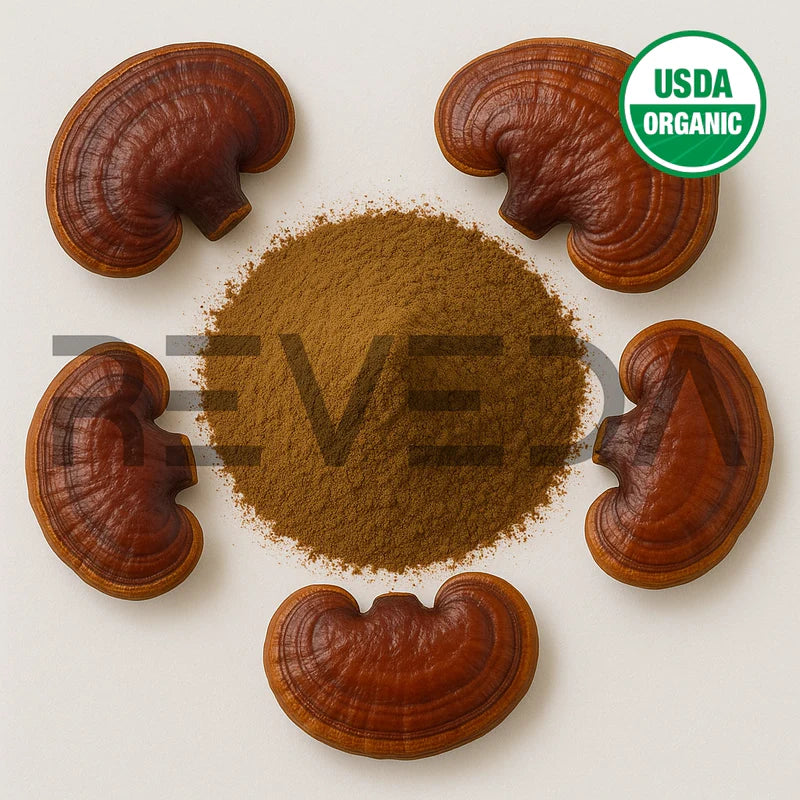 Reishi Mushroom Extract Powder