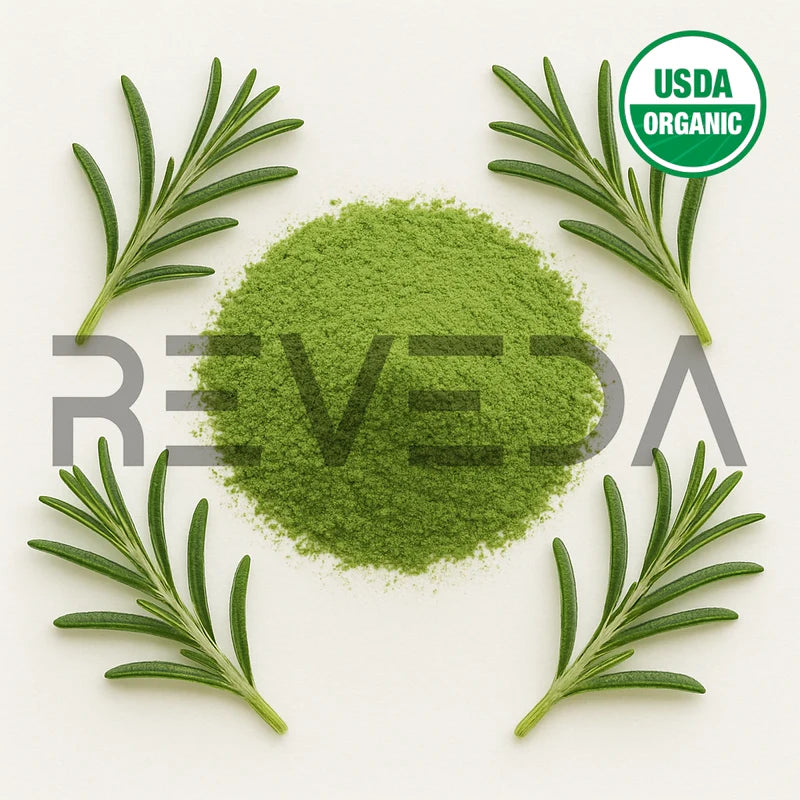 Rosemary Leaf Extract Powder 4:1