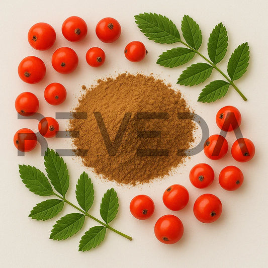 Rowan Tree Powder