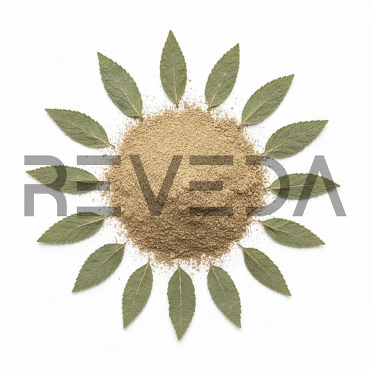 Salvia Divinorum Extract Powder