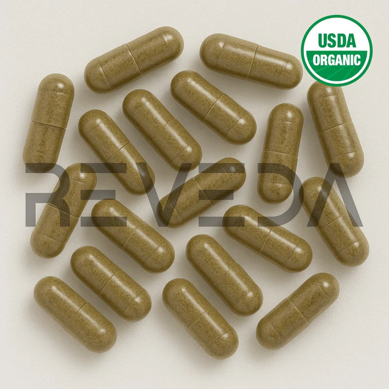 Saw Palmetto Berry Capsules