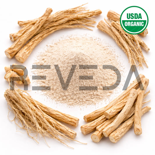 Shatavari Root Extract Powder