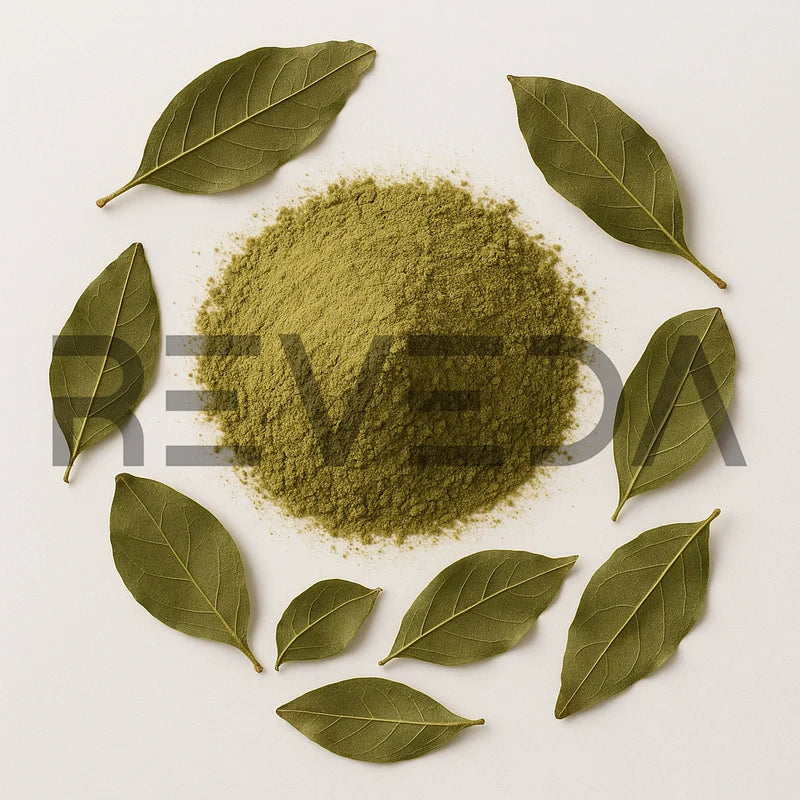 Sidr Leaves Ziziphus Powder