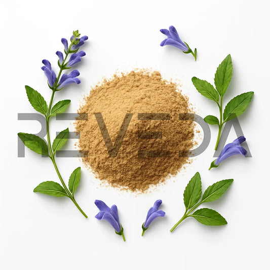 Skullcap Extract Powder