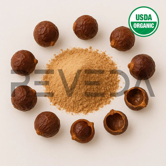 Soapnut Extract Powder