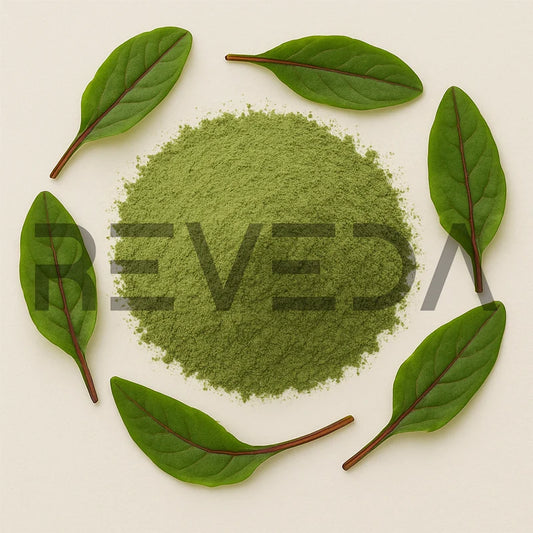 Sorrel Extract Powder