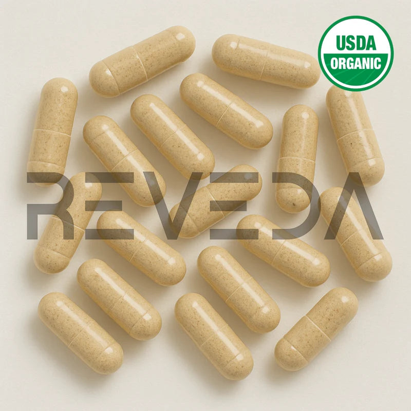 Stone Root Capsules