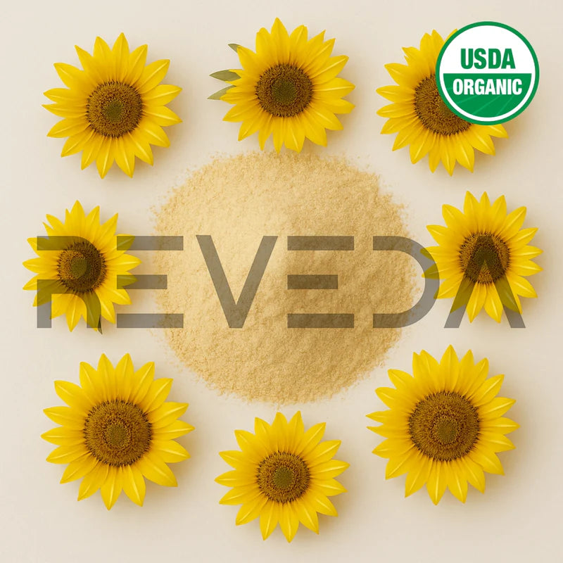 Sunflower Lecithin Powder