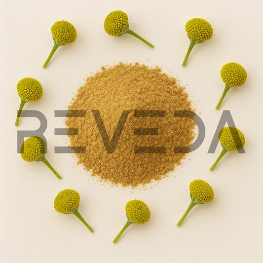 Tansy Extract Powder
