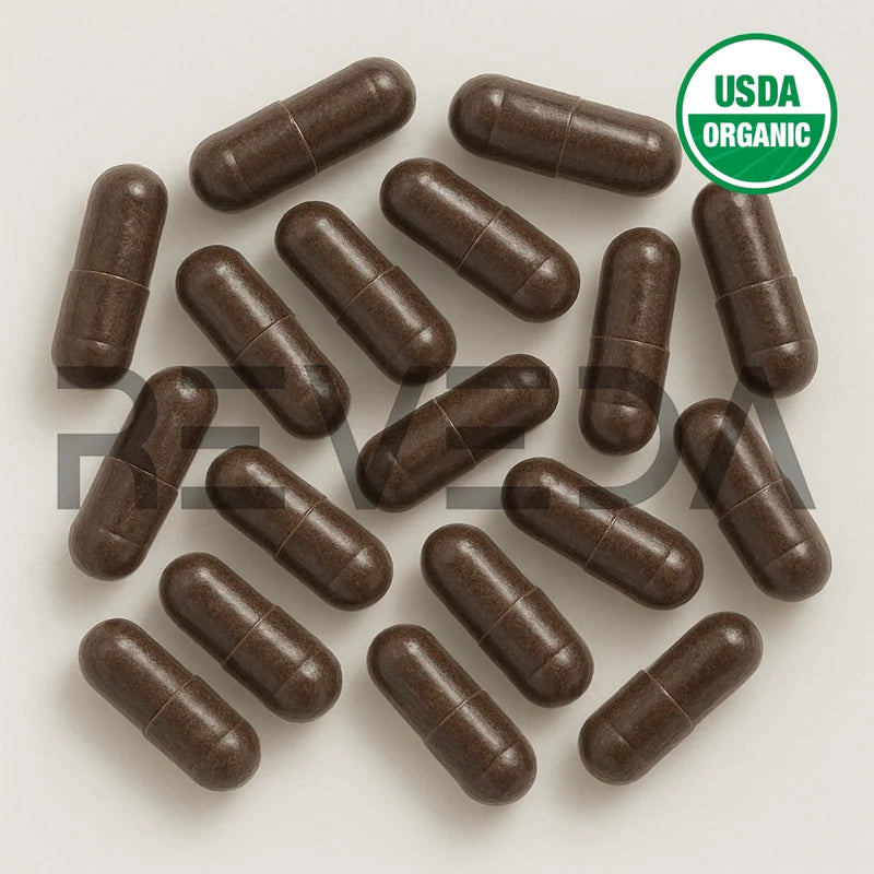 Turkey Tail Capsules