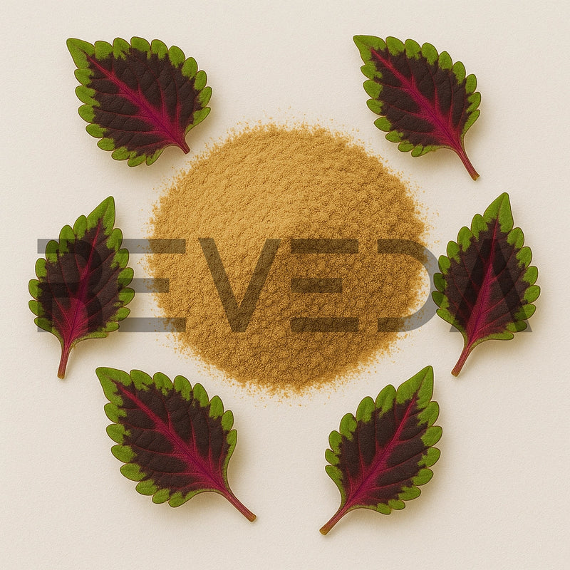 Twelve 0'clock Powder