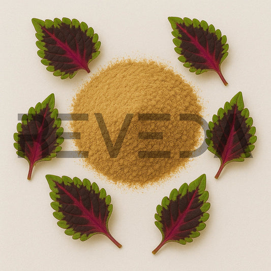 Twelve 0'clock Powder