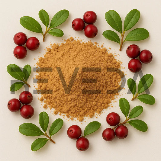Uva Ursi Extract Powder