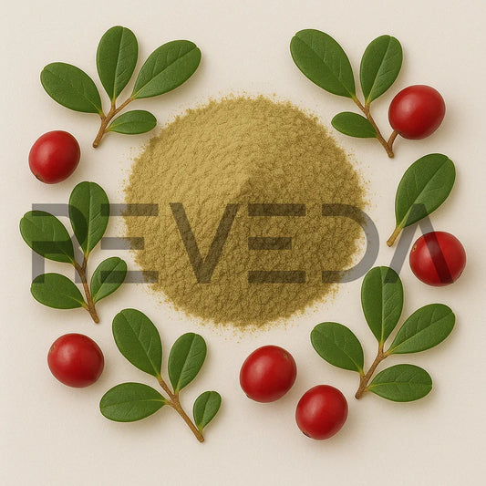 Uva Ursi Powder