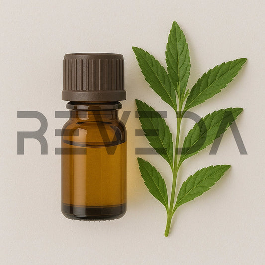 Vervain Essential Oil