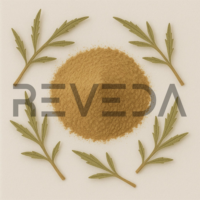 Vervain Extract Powder