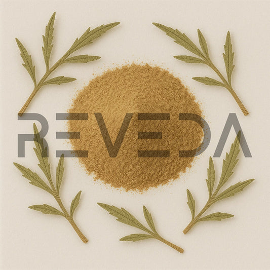 Vervain Extract Powder