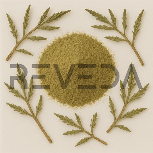 Vervain Powder