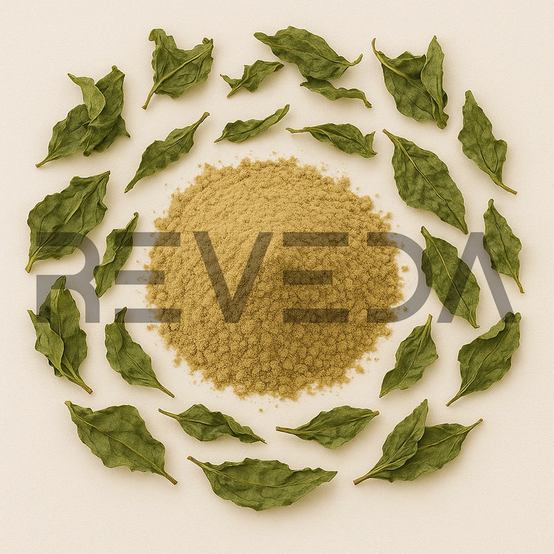 Vine Tea Extract Powder