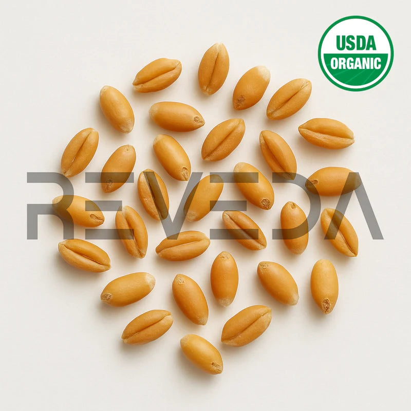 Wheat Seeds