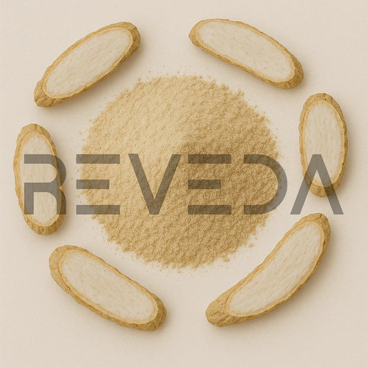 White Behman Extract Powder