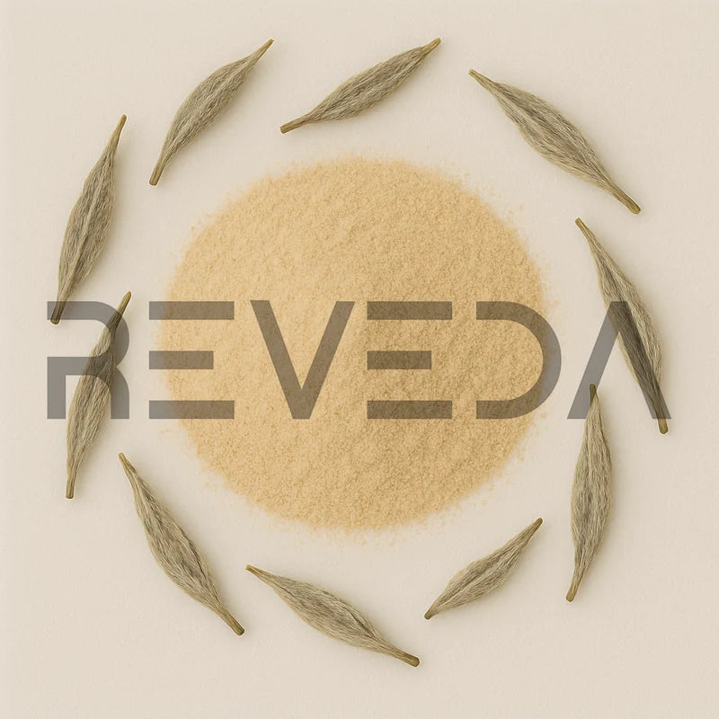 White Tea Extract Powder