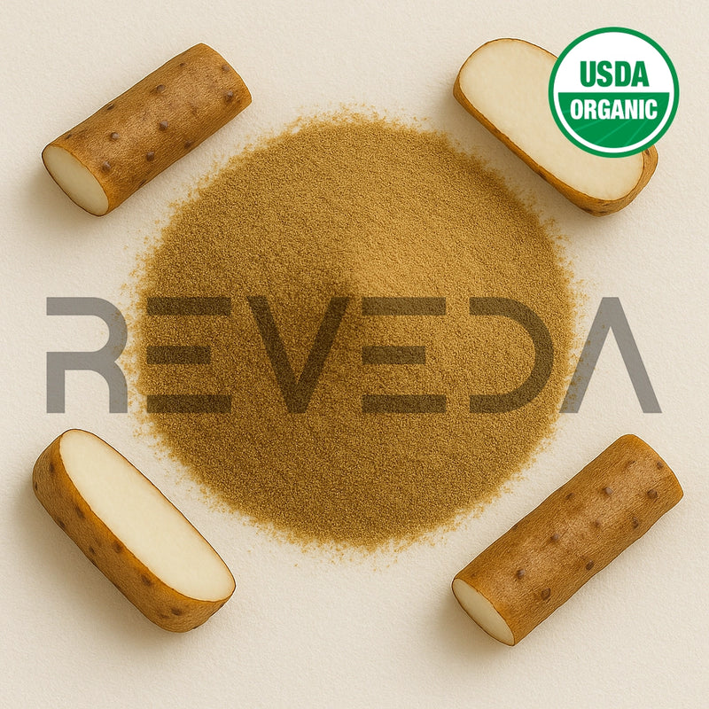 Wild Yam Extract Powder