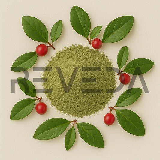 Wintergreen Leaf Powder